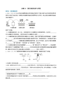 必刷19 微生物的培养与利用（30题）-备战高考生物核心考点 常考题型必刷题