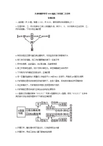 2022-2023学年天津市耀华中学高三上学期第二次（11月）月考生物试题含答案