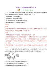 高中生物高考专题03 细胞呼吸与光合作用-2021年高考真题和模拟题生物分项汇编（解析版）