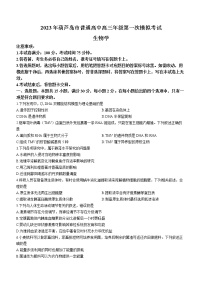 2023葫芦岛普通高中高三下学期一模试题生物含答案