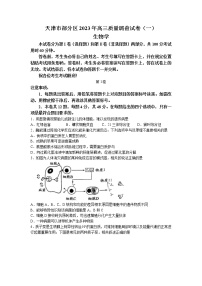 天津市部分区2022-2023学年高三生物下学期质量调查（一）（一模）试题（Word版附答案）