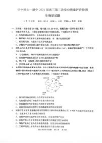 2023湖北省华中师范大学第一附中高三第二次学业质量评价检测生物PDF版含答案