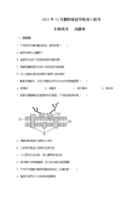 2021-2022学年浙江省稽阳联谊学校高三上学期11月联考生物含解析