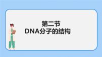 沪科版 (2019)必修2《遗传与进化》第二节 DNA 分子的结构图文课件ppt