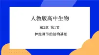 高中生物第1节 神经调节的结构基础优质ppt课件