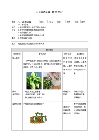 高中生物人教版 (2019)必修1《分子与细胞》第1节 被动运输教学设计