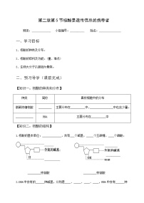高中生物人教版 (2019)必修1《分子与细胞》第5节 核酸是遗传信息的携带者导学案