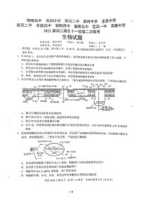 2023湖北省十一校高三第二次联考生物试题扫描版含答案