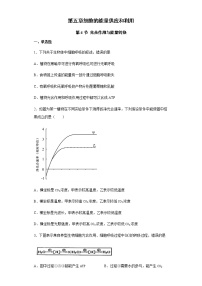 高中人教版 (2019)第5章 细胞的能量供应和利用第4节 光合作用与能量转化二 光合作用的原理和应用课时练习