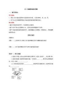 高中生物人教版 (2019)选择性必修1第2章 神经调节第5节 人脑的高级功能学案