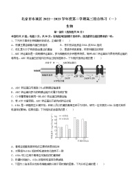 北京市东城区2022-2023学年高三下学期综合练习（一）生物试题(含答案)