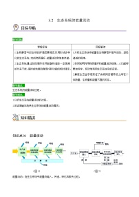 高中生物人教版 (2019)选择性必修2第2节 生态系统的能量流动精练