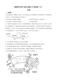 2022届湖南省长沙市湖南师范大学附属中学高三下学期第七次月考生物试题 PDF版