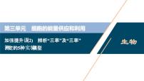 高中生物高考6　第三单元　加强提升课 　辨析“三率”及“三率”测定的5种实验模型课件PPT