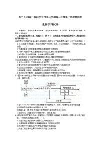 2023天津和平区高三下学期第一次质量调查生物试题含答案