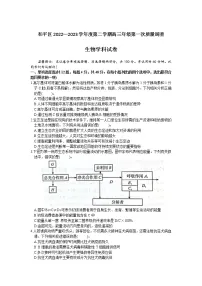 2023天津和平区高三下学期第一次质量调查生物试题含答案