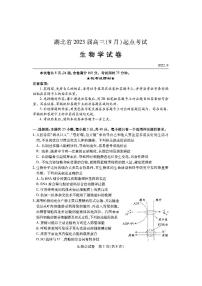 湖北省2023届高三上学期9月起点考试生物试题