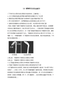【配套新教材】2023届高考生物学二轮复习 专项练（4）植物的生命活动调节