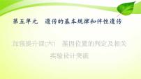 高中生物高考2022年二轮复习：加强提升课(六)　基因位置的判定及相关实验设计突破课件PPT