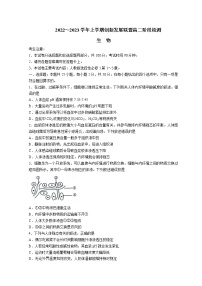 2022-2023学年河南省创新发展联盟高二上学期10月阶段检测（月考）生物含答案