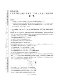 2022-2023学年江西省高二上学期12月统一调研测试（月考）生物试题PDF版含答案