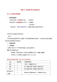 高中生物高考专题11 基因突变及其他变异-2021年高考生物一轮复习知识点梳理与归纳