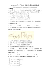 2022-2023学年广西南宁市高三二模理综生物试卷（含解析）