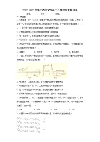 2022-2023学年广西南宁市高三二模理综生物试卷（含解析）