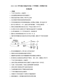 2022-2023学年浙江省温州市高三下学期第二次模拟考试生物试卷(含解析)