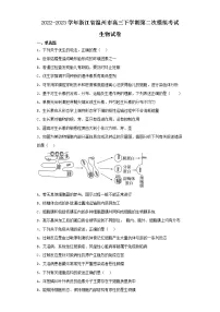 2022-2023学年浙江省温州市高三下学期第二次模拟考试生物试卷（含解析）