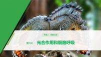 高考生物二轮复习《光合作用和细胞呼吸》课件PPT