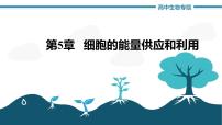第5章 细胞的能量供应和利用（复习课件）- 2022-2023学年高一生物单元复习（人教版2019必修1）