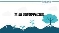 第1章 遗传因子的发现(复习课件)-2022-2023学年高一生物单元复习(人教版2019必修2)