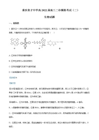 2022届重庆市育才中学高三二诊模拟考试（二）生物试题含解析