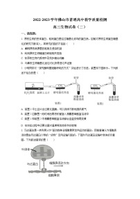 2023届广东省佛山市高三二模生物试题