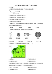 2023届上海市徐汇区高三三模生物试卷（含解析）