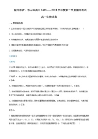 2022-2023学年安徽省宿州市省、市示范高中高一下学期期中生物试题含解析