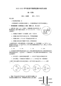 2022-2023学年江苏省无锡市四校联考高一下学期4月期中生物试题含答案