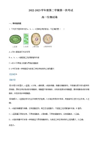 2022-2023学年湖南省长沙市芙蓉高级中学高一下学期第一次月考生物试题含解析