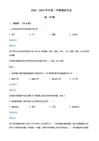 2022-2023学年内蒙古呼伦贝尔市满洲里第一中学高一下学期摸底考试生物试题含解析