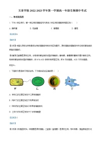 2022-2023学年湖北省咸宁市通山县文星学校高一上学期期中生物试题含解析