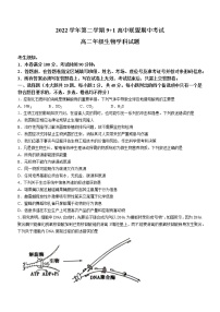 浙江省91高中联盟2022-2023学年高二生物下学期期中联考试题（Word版附答案）