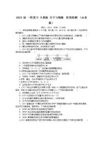 2023届人教版高考生物一轮复习分子与细胞阶段检测（山东版）含答案