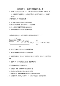 2023届高考生物一轮复习细胞的代谢A卷单元检测含答案