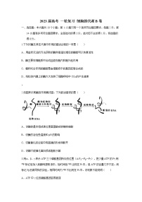 2023届高考生物一轮复习细胞的代谢B卷单元检测含答案