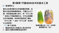 选择性必修3第1节 重组DNA技术的基本工具优秀课件ppt
