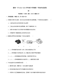 2022-2023学年福建省莆田第一中学高一下学期期中考试生物试题含答案