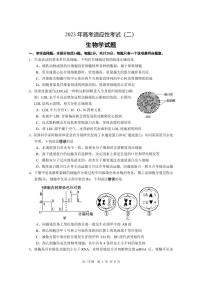 2022-2023学年江苏省南通市如皋市高三下学期高考适应性考试（二）生物 PDF版