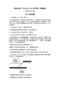山东省东营市第一中学2022-2023学年高三生物下学期二模试题（Word版附答案）