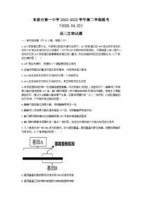 山东省东营市第一中学2022-2023学年高三生物下学期二模试题(Word版附答案)